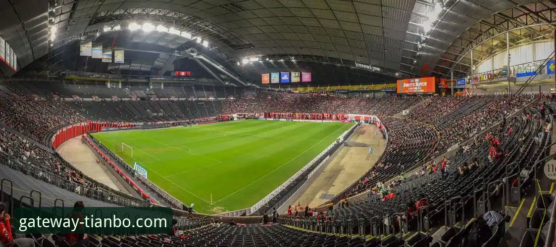 从恒大足球兴衰看体育投资风险的实用指南