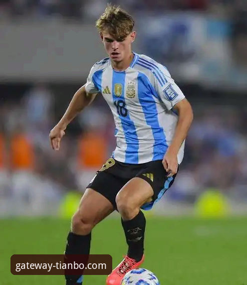 天博体育评价 阿根廷锋线新星重伤无缘世界杯,天博体育平台深度解析战术影响最新动态